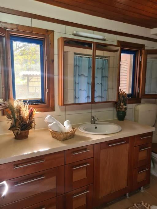 Annas Cozy Cottage Kalymnos Panormos  المظهر الخارجي الصورة
