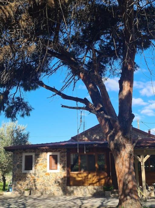 Annas Cozy Cottage Kalymnos Panormos  المظهر الخارجي الصورة